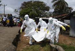 Hoãn Hội nghị cấp cao Diễn đàn Ấn Độ-châu Phi vì dịch Ebola